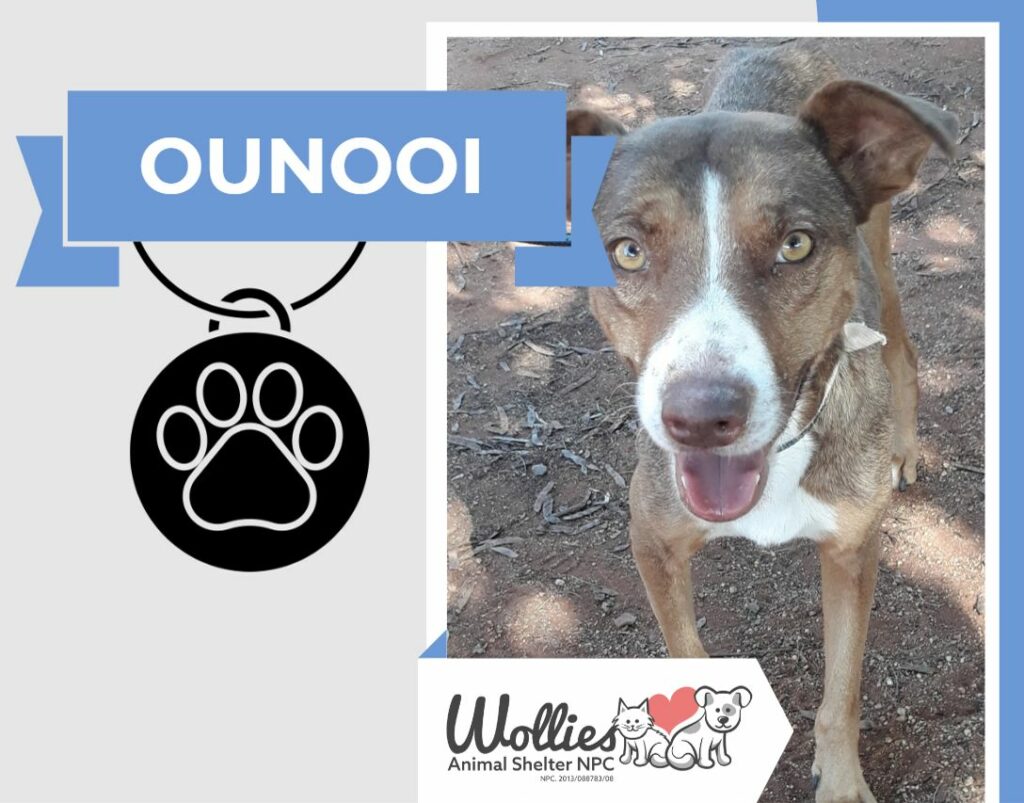 OUNOOI
